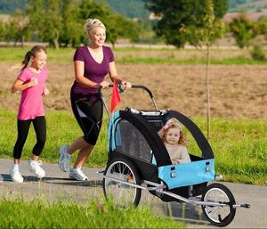 Offre Spéciale 2 sièges 40 <span class=keywords><strong>kg</strong></span> capacité couleurs personnalisables chien vélo remorque transporteur trois roues enfant jogging poussette - Product Image 5