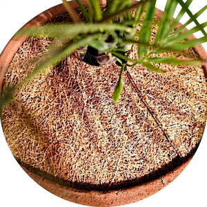 Tapis de paillis en fibre de coco écologique de qualité supérieure, disponible, le plus vendu, haute qualité, contrôle des adventices, rétention de l'humidité, prix de gros en vrac - Product Image 1