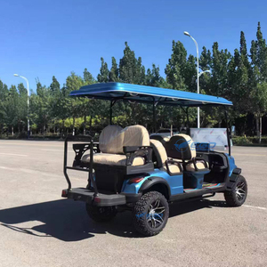 Carrito de Golf Eléctrico de 6 Plazas, 60V, en Venta, Modelo 2026 - Product Image 6