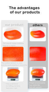 가정용 주방 파티 장식을위한 실물 같은 빨강 및 녹색 인공 과일 플라스틱 시뮬레이션 과일 - Product Image 2