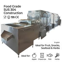 Industrial Worm Microwave Dryer BSF Tunnel Drying Machine Spirulina Insect Larva Cricket Mealworm Belt Dryer
