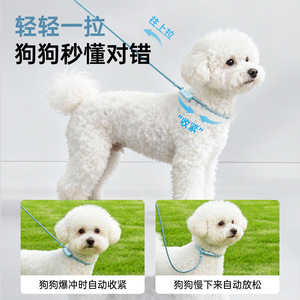 Correa para perros, cadena tipo P, antiexplosión, cadena tipo P de doble cabezal ajustable, correa para perros, esencial para pasear y correa para sujetar a los perros - Product Image 5