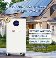 Batterie solaire hybride 314ah Lifepo4 Batterie de stockage 48v 51.2v 200ah 300ah 20kwh 15kwh Panneau solaire Banque de batterie