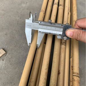 Postes <span class=keywords><strong>de</strong></span> Bambú <span class=keywords><strong>de</strong></span> Alta Calidad y Económicos <span class=keywords><strong>de</strong></span> <span class=keywords><strong>3</strong></span> <span class=keywords><strong>Metros</strong></span> para Enrejado <span class=keywords><strong>de</strong></span> Viñedos - Product Image 4