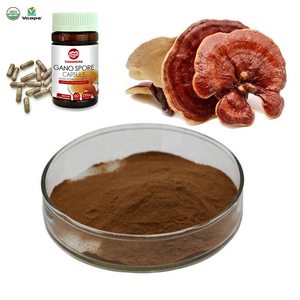 Le fabricant fournit de l'extrait de champignon Reishi pur biologique, Booster Ganoderma Lucidum, extrait en poudre