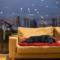 Aufrollbare Tragbare Wasserdichte Reise-Hundematte Outdoor Große Hundebettmatte
