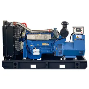 Weifang Ricardo 50HZ AC 3 Phase Engine 250KW 250KVA Diesel Engine 300KW 300KVA Diesel Generator