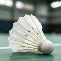 ST NO 2 Volants de badminton d'entraînement en plumes d'oie, sensation solide, vol stable, pour entraînement en salle, lot de 12 volants