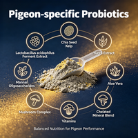 Poudre de supplément nutritionnel pour pigeon de course, soutien à l'endurance et aux performances, oméga 3, graines de chia, extrait d'ycéra, saison de course, 50g