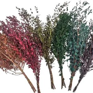 진짜 유칼립투스 식물 집 장식 꽃병 채우기 가지 웨딩 식물 작은 잎 종 보존 유칼립투스