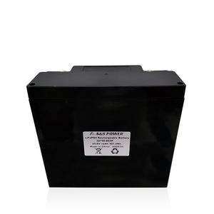 8s2p Lifepo4 बैटरी 25.6v 24v 12ah लिथियम आयन बैटरी पैक के लिए बीएमएस के साथ और एबीएस मामले सौर भंडारण - Product Image 1