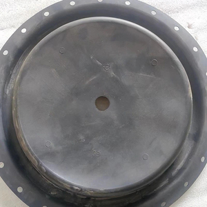 ชุดซ่อมแอคชูเอเตอร์ 2052 รุ่น GE28042 / GE31917 / GE34829 (ประกอบด้วยไดอะแฟรม, ปะเก็น และโอริง) - สำหรับวาล์วควบคุม - Product Image 4