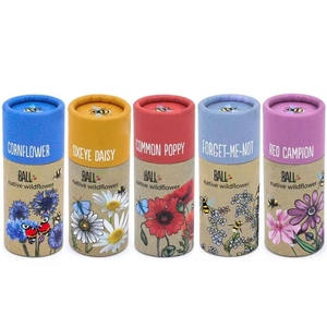 Una bombilla de flores silvestres-Red <span class=keywords><strong>Campion</strong></span>, puede ayudar a las abejas a volver con plantas de flores silvestres fácilmente plantadas - Product Image 1