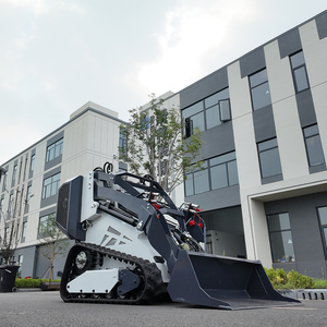 Günstiger Preis: Multifunktionaler Rad-/Raupenlader mit Dieselantrieb – Kompakter Radlader - Product Image 3