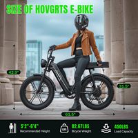 Vélo électrique tout-terrain sur mesure avec pneus larges, 48V 15AH, 7 vitesses, pneus 20"*4.0, frein hydraulique, moteur moyeu arrière, idéal pour les trajets quotidiens et la famille