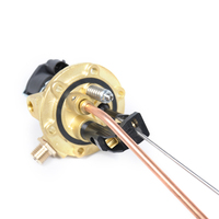 Ensemble de soupape de sécurité électromagnétique pour réservoir GPL 12V DC, avec indicateur de niveau de liquide intégré et flotteur