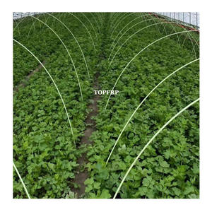 Vente en gros de tige flexible en fibre de verre 8mm FRP tige de jardin piquets de plantes en fibre de verre robustes tige en fibre de verre - Product Image 3