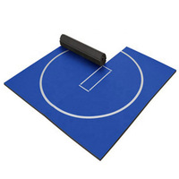 Bestseller Anpassbare Farbe Lila Rutschfester Umweltfreundlicher Teppichboden Cheerleading Tumbling Karate MMA Judo Training-Weich