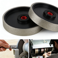 Meule électrolytique CBN avec moyeu en plastique 4/6/8 pouces pour ciseaux à cheveux, outils de tournage sur bois, affûtage de carbure (Grain 60-3000)