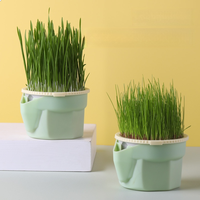 Vente en gros d'herbe pour chat Kit de plantation d'intérieur Conception de changement d'eau en couches Pulvérisation d'herbe pour chat Semence d'herbe en bambou