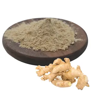 Food Grade Ginger Powder Gingerol 5% 10% 15% 20%Good Water Solubility Ginger Extract