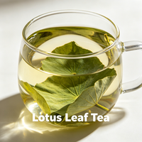 Feuille de lotus : Matière première pour tisanes, boissons aux fruits, pâtisseries, arômes naturels, encens, savons et extraits.