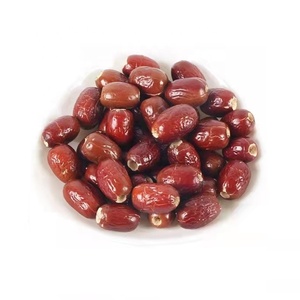 Alimento Liofilizado para Mascotas al por Mayor, Bocadillos para Perros, Bocadillos de Jujube Liofilizados para Cachorros, Frutas Liofilizadas, Golosinas Naturales para Perros Sin Aditivos - Product Image 5