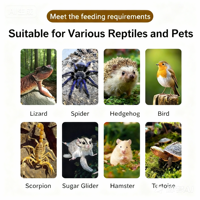 Enclos pour reptiles en PVC noir de 120 gallons, 4x2x2 pieds, pour les grands serpents/lézards, avec support pour lampe chauffante
