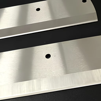 Precisie snijmes 160x58x3mm SUS304 roestvrij staal dubbelgepolijste rand voor groentesnijmachine OEM ODM