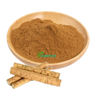 Estratto di Radice di Bardana (Arctium Lappa) in Polvere, Estratto Naturale di Arctiina, Polvere di Estratto di Erba Bardana 4:1 10:1 - Product Image 1