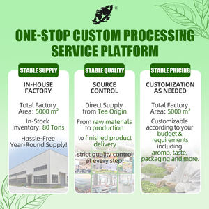 Thé vert biologique mélangé au jasmin, thé en vrac premium pour la santé, thé fleuri en boîte, floral et onctueux - Product Image 2