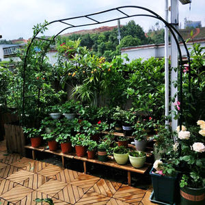 DD2609 <span class=keywords><strong>tonnelle</strong></span> de pergola en fer à assembler facilement pour diverses plantes grimpantes arc de jardin de mariage décoration de fête nuptiale large <span class=keywords><strong>tonnelle</strong></span> - Product Image 5