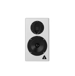 BZ-01 AURUM CANTUS A5M Tweeter pneumatico DSP Monitor Crossover elettronico altoparlante attivo altoparlante da scaffale