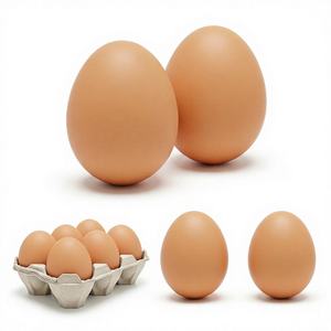 Œufs de poule frais en vrac, de haute qualité, saveur naturelle, frais de la ferme, emballés, riches en nutriments, brun/blanc, origine Thaïlande, riches en protéines - Product Image 1