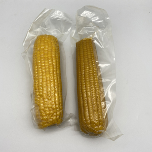 Sacchetto del sacchetto della storta d'imballaggio della pannocchia di mais dolce in scatola di nylon flessibile durevole ad alta barriera - Product Image 2