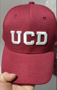 Chất Lượng Cao Tùy Chỉnh 3D Thêu Biểu Tượng Phong Cách Cấu Trúc Bông Chạy Thể Thao 6 Bảng Điều Chỉnh Bóng Chày Mũ Tùy Chỉnh 5 Bảng Điều Chỉnh 7 Gorras Mũ - Product Image 3