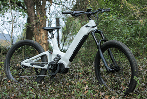 Vélo électrique BICI de route 250W/vélo électrique de montagne à suspension complète batterie 36V/48V vélo électrique à vendre/OEM acheter ebike de Chine - Product Image 5