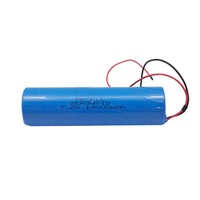 Batteries lithium personnalisées en série/parallèle ER34615M ER34615 taille D pour IOT/détecteurs/compteurs
