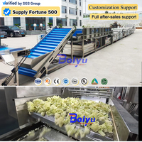 Baiyu industriële groenteverwerkingslijn met transportband, was- en snijmachine