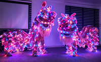Costume de danse du lion du sud de la Chine lumineux à LED RGB, rechargeable, pour spectacle de Nouvel An et carnaval