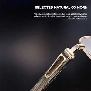 Monture de lunettes Saint <span class=keywords><strong>Van</strong></span> Gogh au design ergonomique, style haut de gamme, matériau en corne de titane, monture de lunettes respectueuse de la peau pour unisexe - Product Image 4