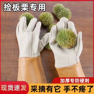 <b>Chestnut</b> Picking Gloves Thickened Cut Resistant Waterproof For Gardening Landscaping Agriculture - Product Image 5