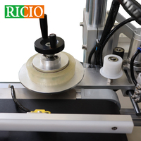 Aplicador Automático de Alta Precisão RICIO OEM para Etiquetas e Selos de Segurança em Caixas de Papel e Garrafas Planas