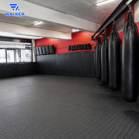 Ensemble d'équipements de gym MMA : Cage octogonale de 5,5 m, Tapis BJJ, Support de sac de frappe avec tapis de karaté et de judo – Durable pour les installations de 100 à 400 m²