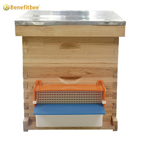 Trappola per Polline d'Api in Plastica <span class=keywords><strong>Attrezzatura</strong></span> Apistica Benefitbee - Product Image 2