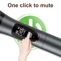Système de microphones sans fil professionnels double, portatifs et de poche, portée 100m pour la scène