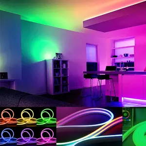 Banqcn tali lampu neon led piksel ddressable, lampu neon strip led fleksibel warna impian untuk pencahayaan dekorasi