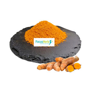 FocusHerb pigmento natural curcumina en polvo Extracto de raíz de cúrcuma 95% curcumina - Product Image 1