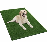 Gazon artificiel pour animaux de compagnie, fil doux protégeant les pattes des animaux, drainage rapide, pelouse pour chenil intérieur, résistant aux bactéries