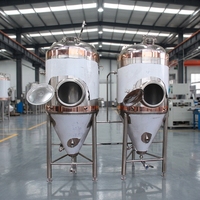 Fermenteur en acier inoxydable personnalisable à double paroi avec enveloppe glycolée et trappe latérale supérieure pour la fabrication de bière artisanale et d'alcool